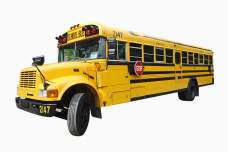 US-Schulbus - 26 Gäste US - Schulbus mieten Dresden