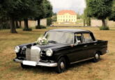Oldtimer Mercedes W110 Mercedes für Hochzeit mieten Dresden