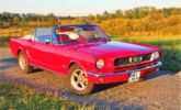 Ford Mustang Ford Mustang mieten Coswig